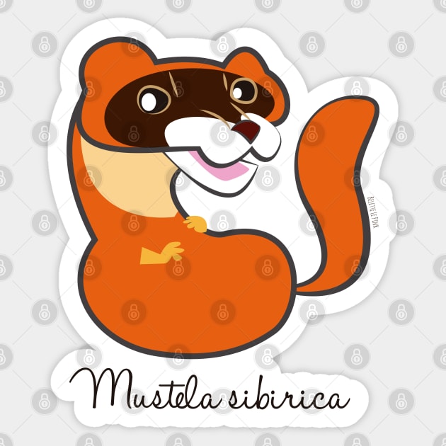 Siberian weasel Mustela sibirica Sticker by belettelepink